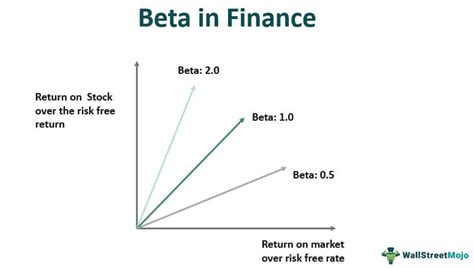 beta of zero means.